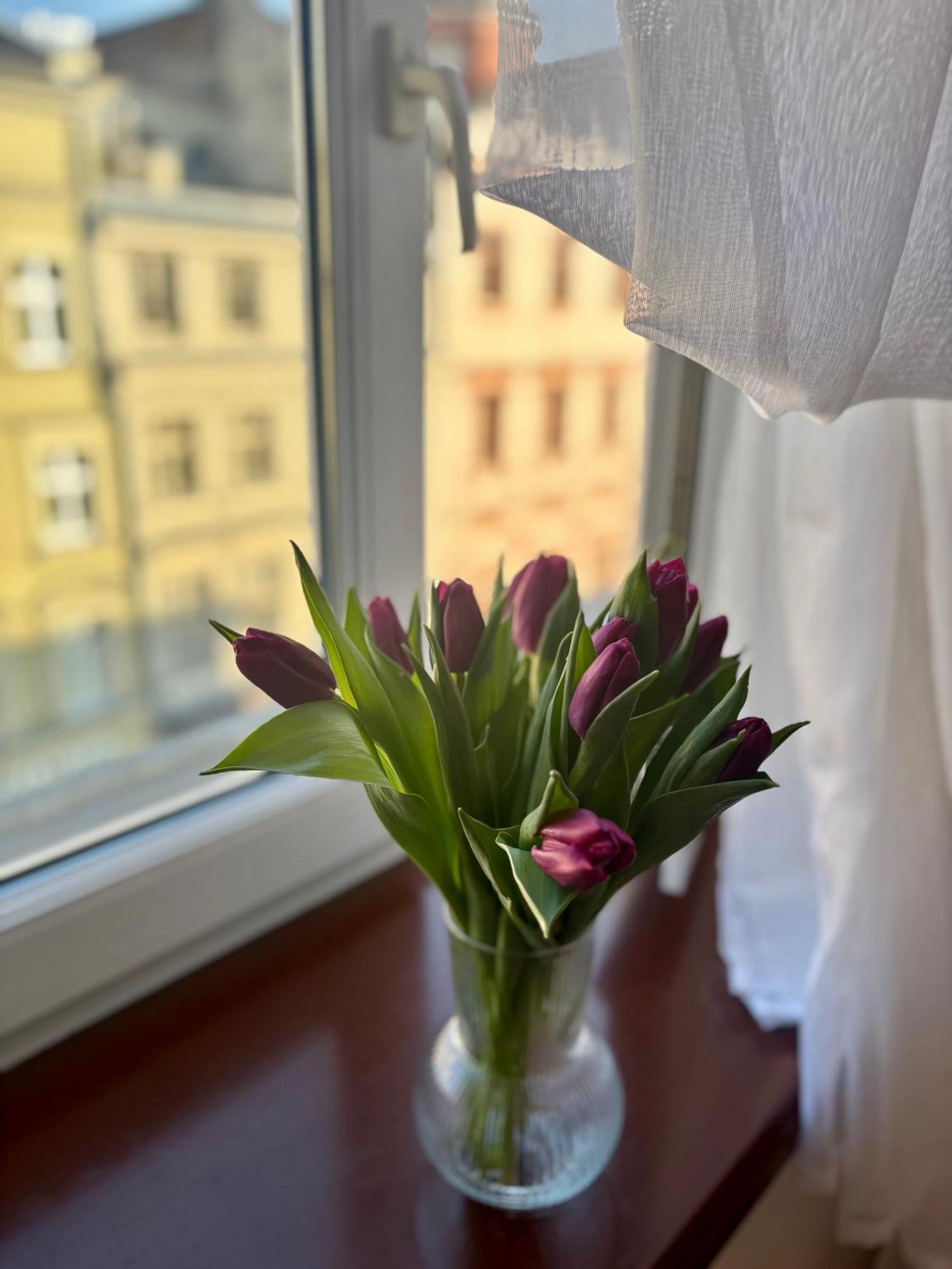 קרקוב Vintage Senacka 9/7 Apartment מראה חיצוני תמונה